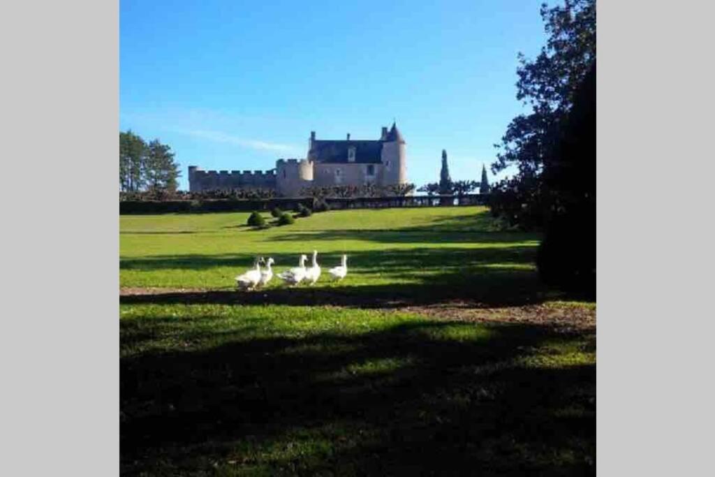 Chateau De Fontenay Villa Lignieres-de-Touraine Exterior photo