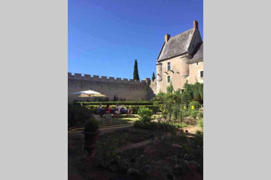 Chateau De Fontenay Villa Lignieres-de-Touraine Exterior photo